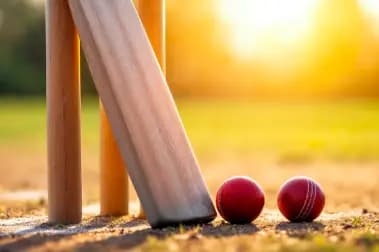 Cricket